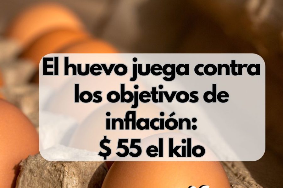 El precio del huevo se dispara: supera los 55 pesos por kilo y se anticipan nuevos incrementos