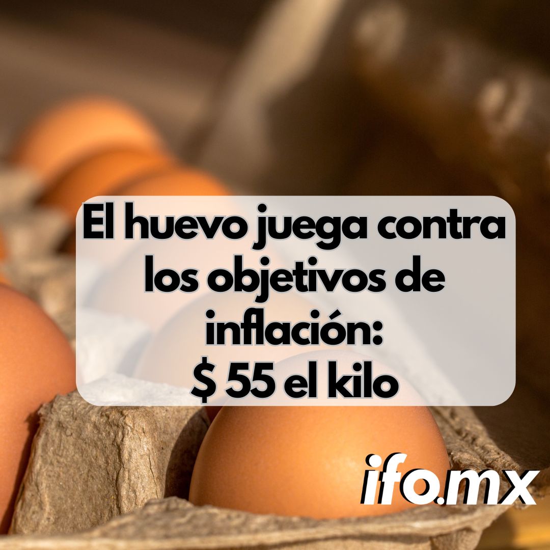 El precio del huevo se dispara: supera los 55 pesos por kilo y se anticipan nuevos incrementos